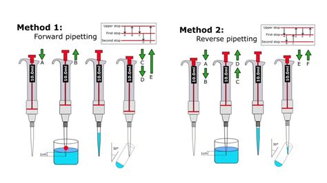 pipetting viscous liquids|forward vs reverse pipetting.